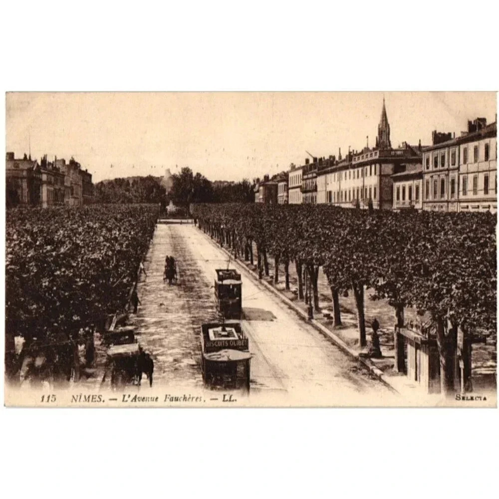 NIMES. L'Avenue Fauchères. - LL.- Nimes, France Postcard